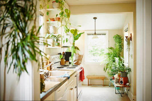 Environmental Wellness as a Way of Living