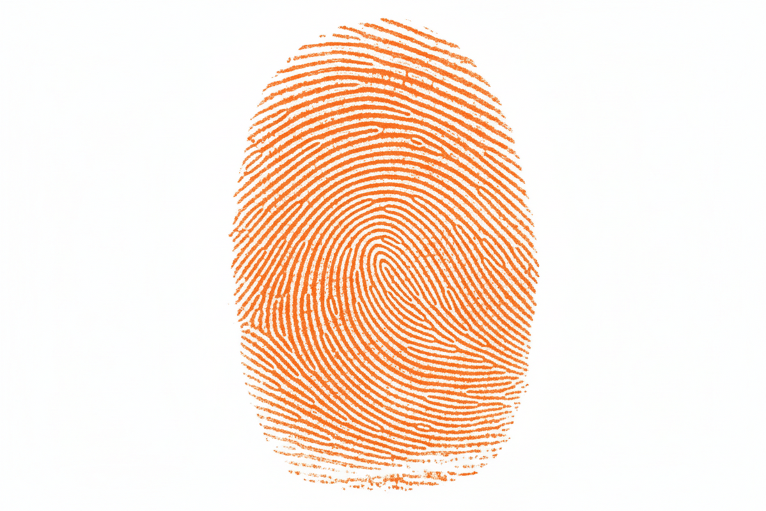 Identity: The Names We Answer To