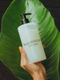 Nula Skincare™ | Premium Fragrance-Free Wash | Dry Sensitive Skin