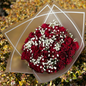 Ever Red Roses by Amen's Exquisite Florist