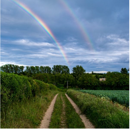Healing Point | Systemic Master Life Coaching