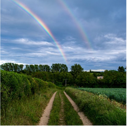 Healing Point | Systemic Master Life Coaching